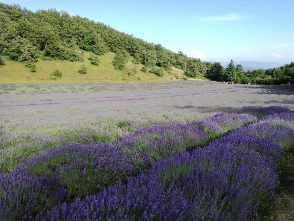 B&B I Girasoli Monte San Pietro Buitenkant foto