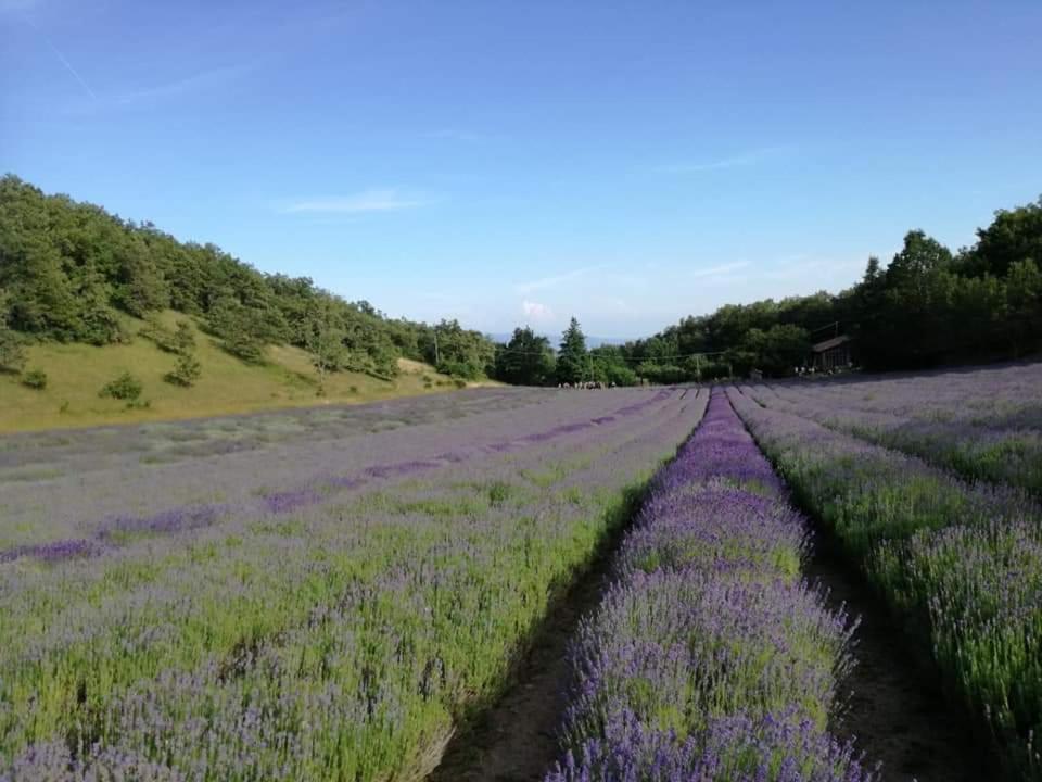 B&B I Girasoli Monte San Pietro Buitenkant foto